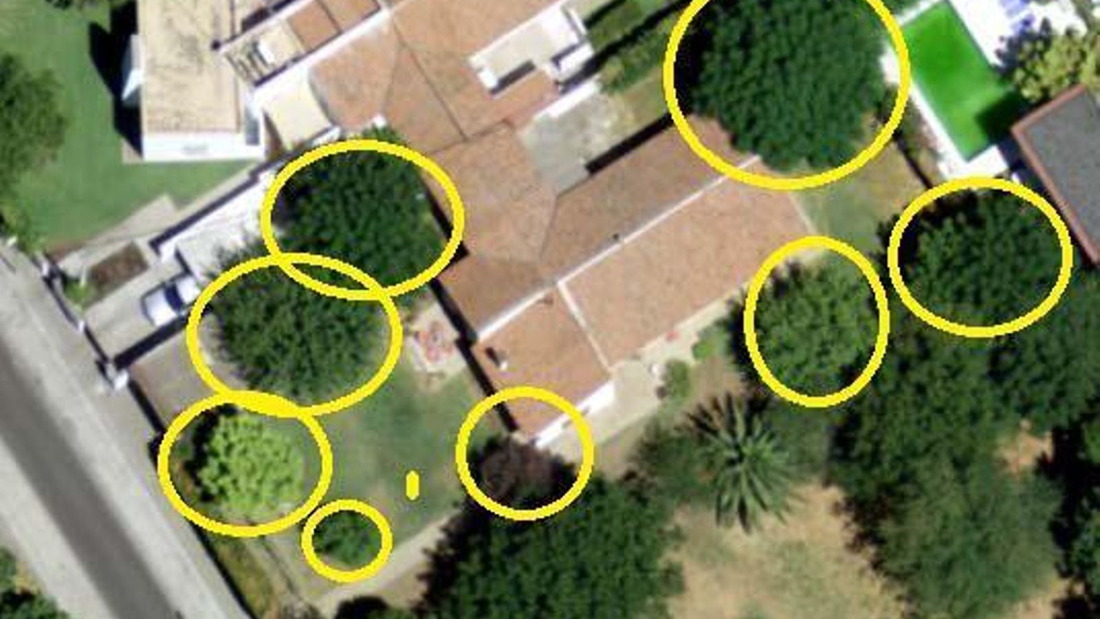 La vegetación que tenía la parcela de Fray Francisco de Pareja 35.