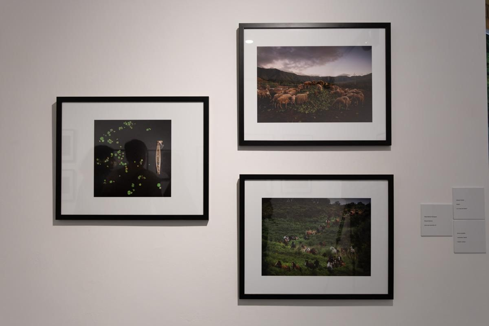 Exposición La Tierra, corazón de la vida, en imágenes