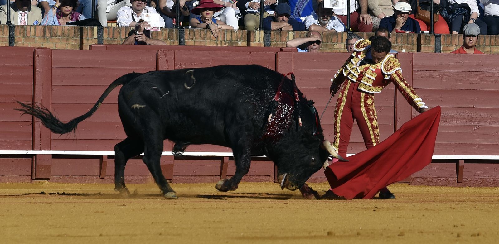 Las imágenes de la 13ª corrida de abono de La Maestranza