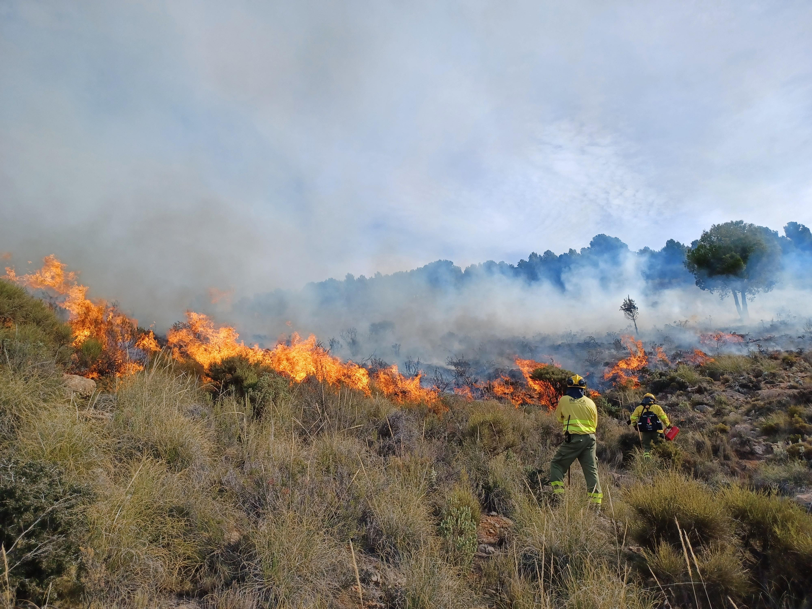 Quema prescrita del Infoca en Cortijo Clavero de Dalías