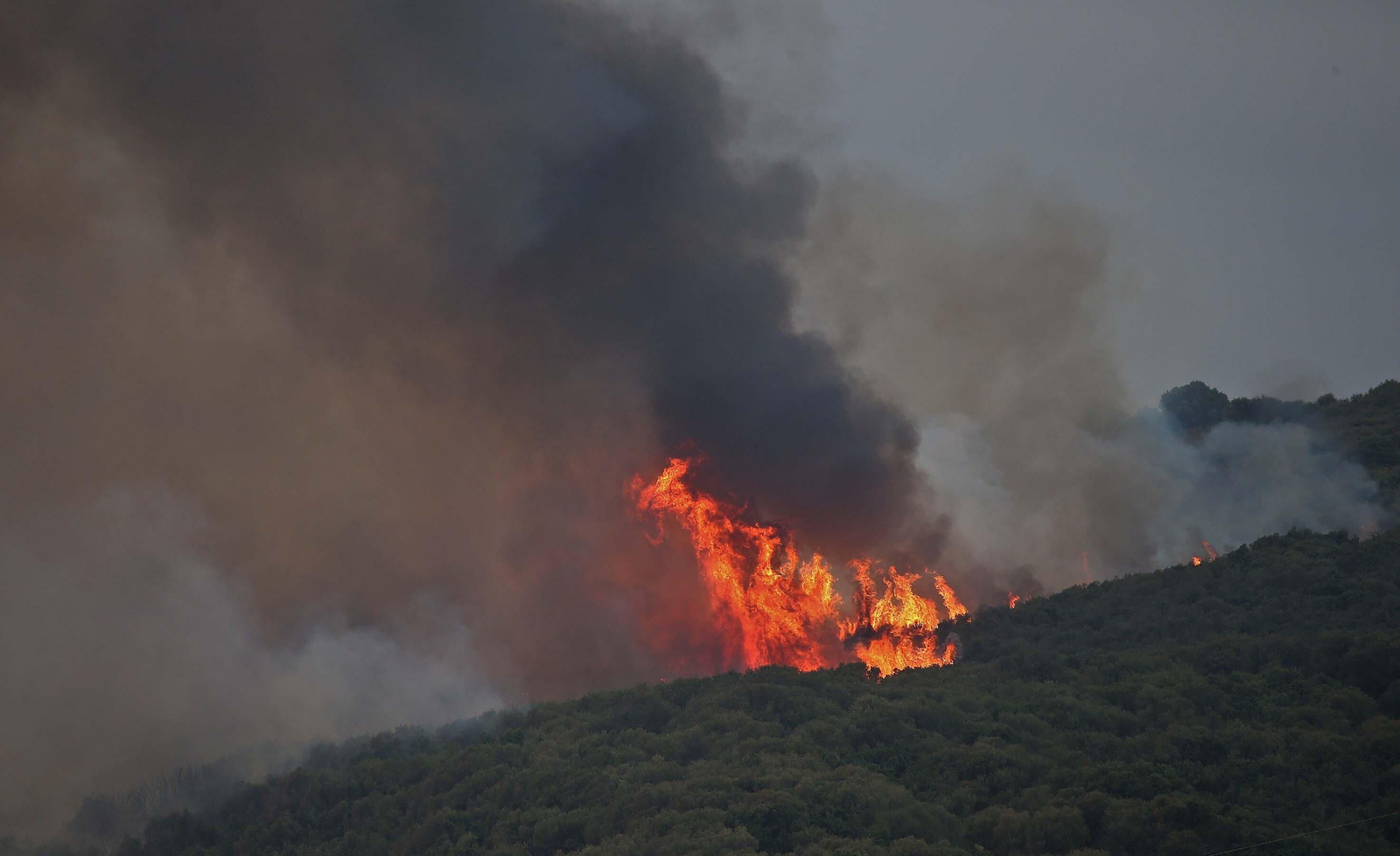 El incendio forestal  de Algeciras, en imágenes