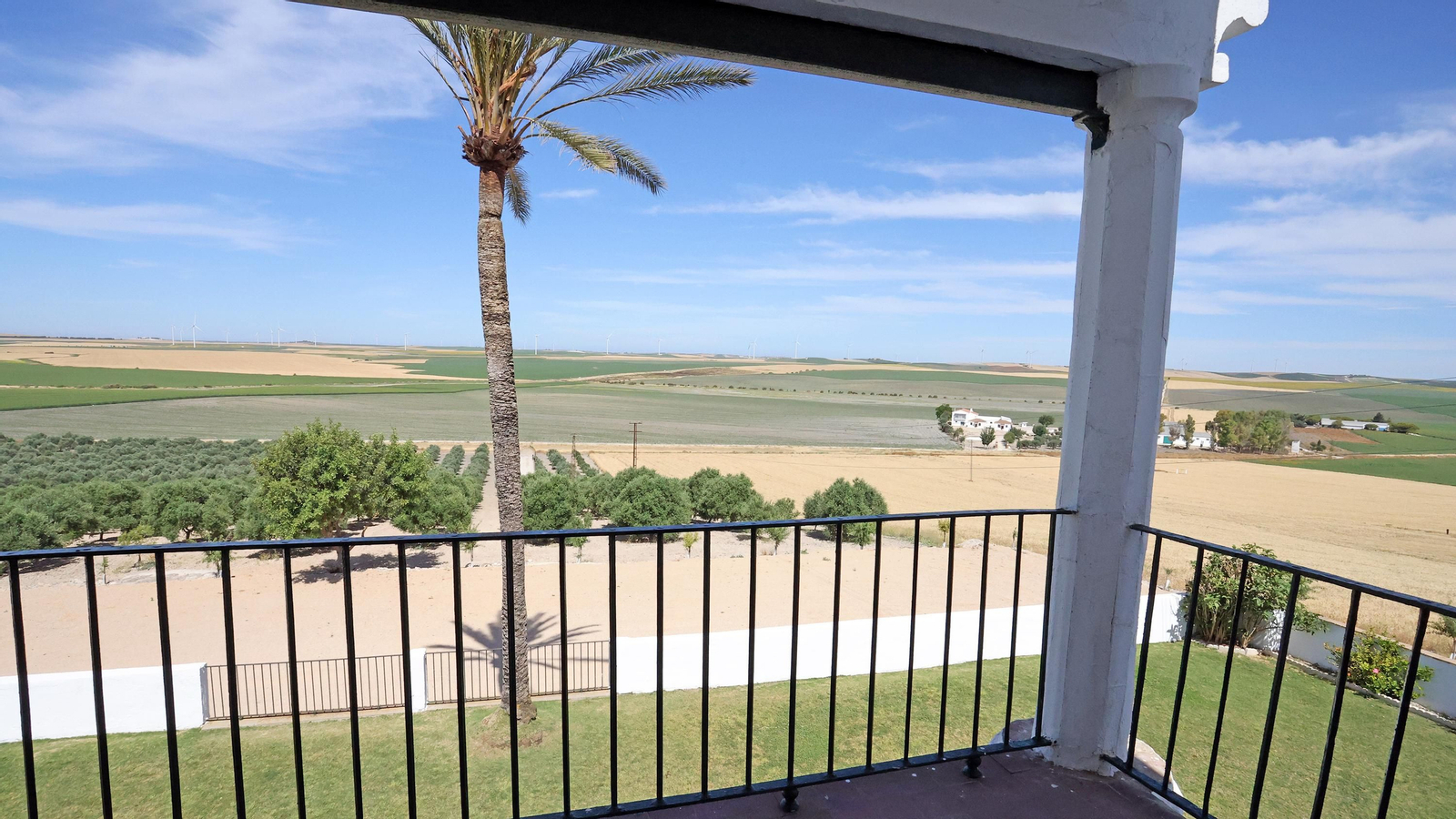 Imágenes de la finca 'El Barrosillo'