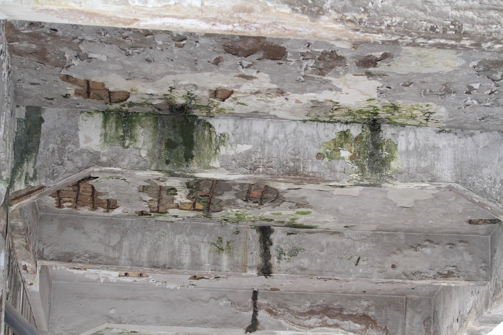 La visita del alcalde a las obras del Mercado Puerta de la Carne, en imágenes