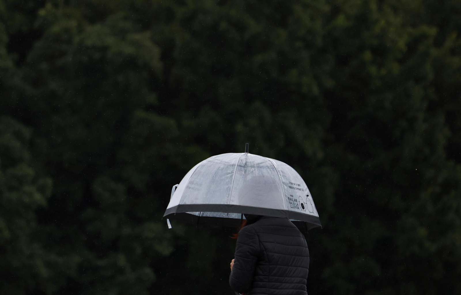 Paraguas en un día de lluvia.