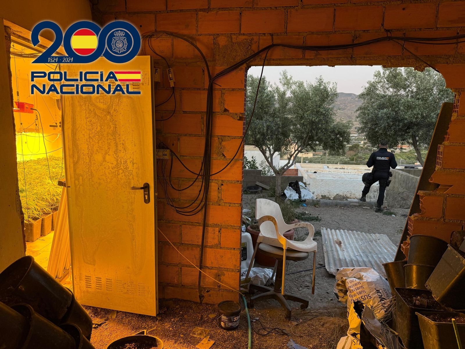 Las imágenes de la macrooperación policial contra el tráfico de drogas en Pechina