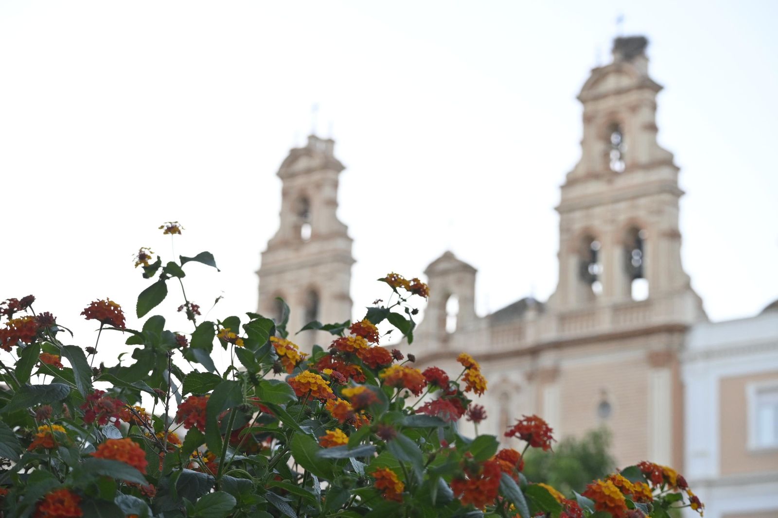 Inauguración de la Plaza de La Merced de Huelva en imágenes