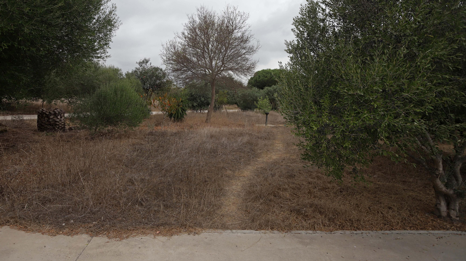 Fotos del parque del Torrejón en Algeciras