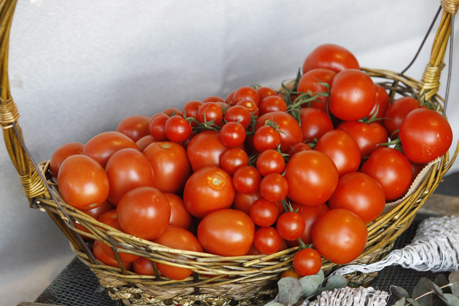 Fotogalería nuevas instalaciones Vicasol 3 en El Ejido