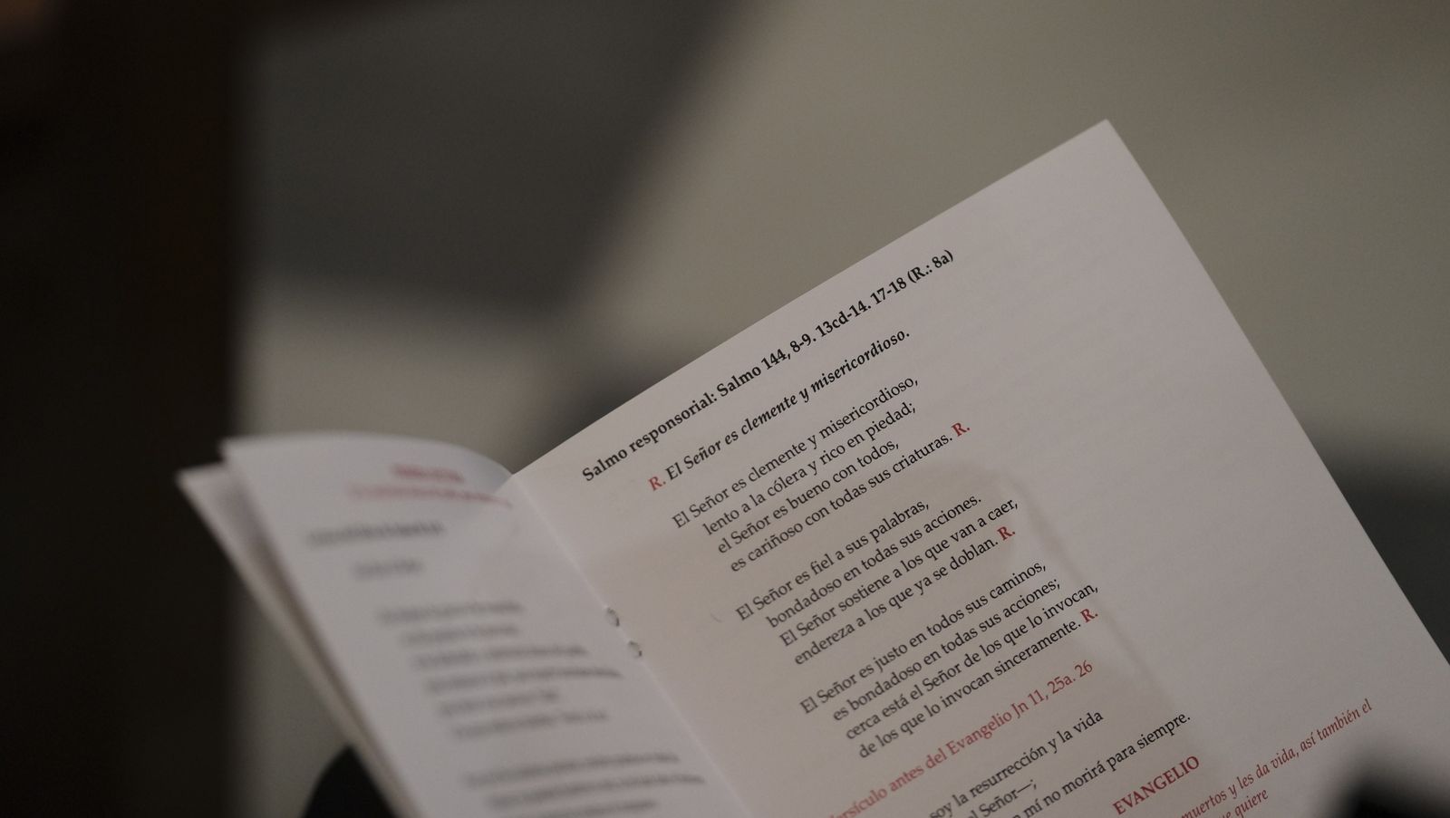 Fotogalería segundo día de triduo a San José. Catedral de Almería.