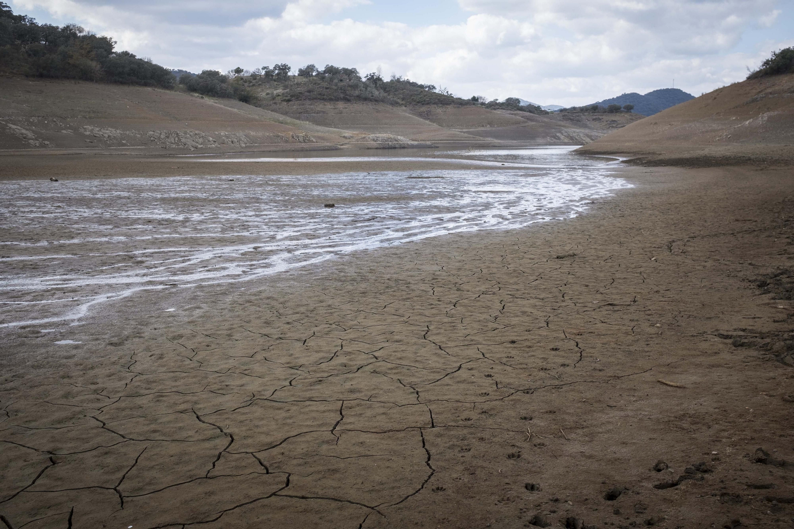 Tierras agrietadas en las colas de un pantano.