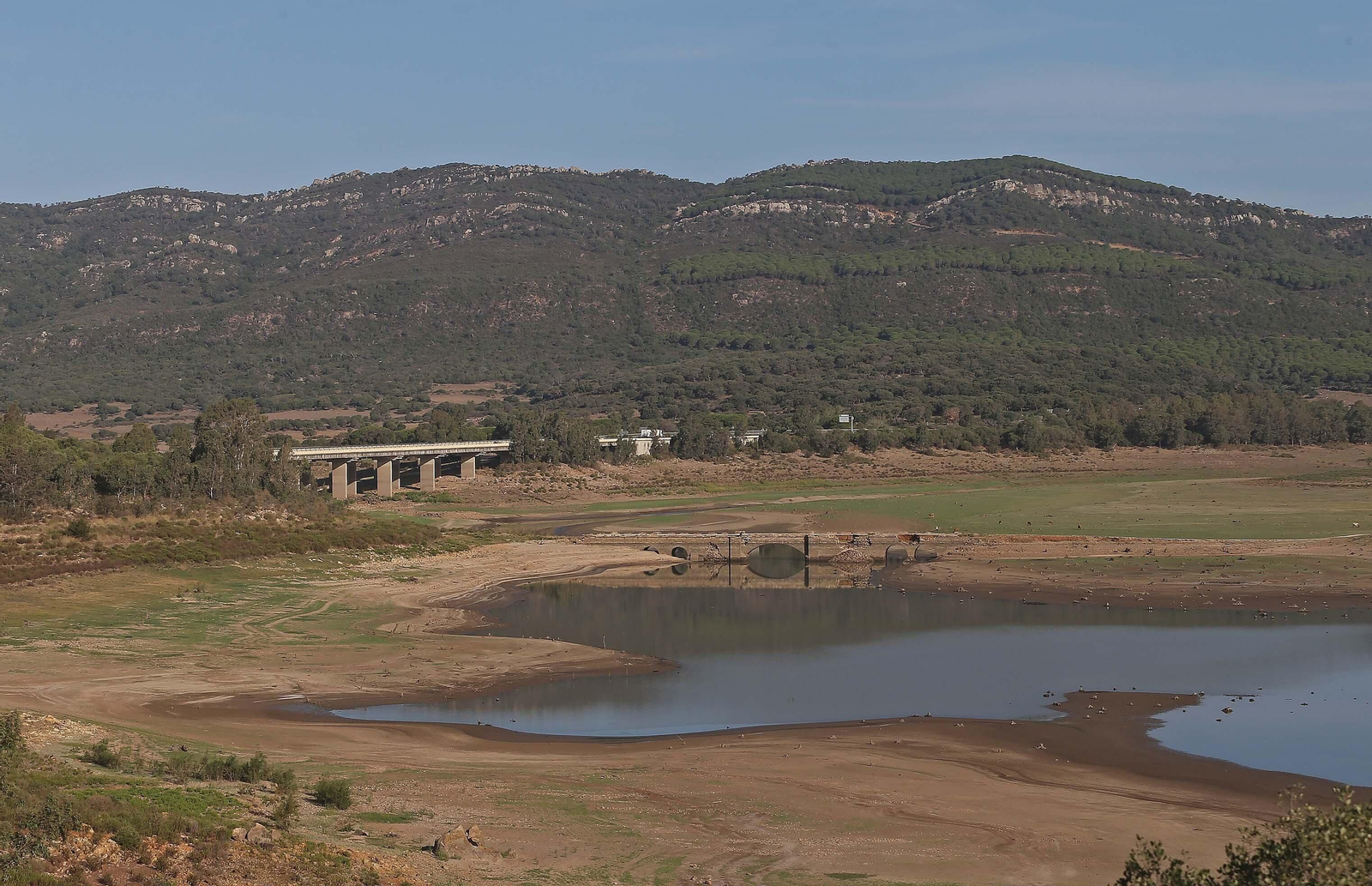Imágenes del pantano de Charco Redondo en Los Barrios