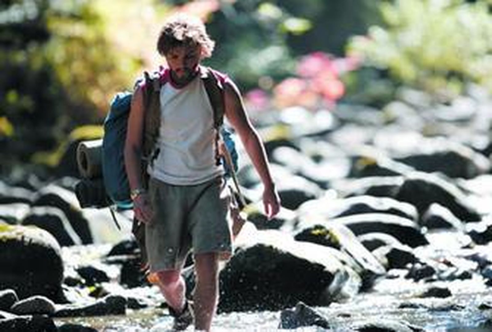 Hacia Rutas Salvajes, de Sean Penn y Una verdad incómoda (abajo), de Al Gore, son dos visiones diferentes en las que la sostenibilidad ambiental juega un papel determinantes.