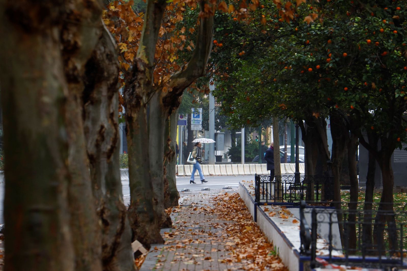 El paso de la borrasca Goretti por Córdoba