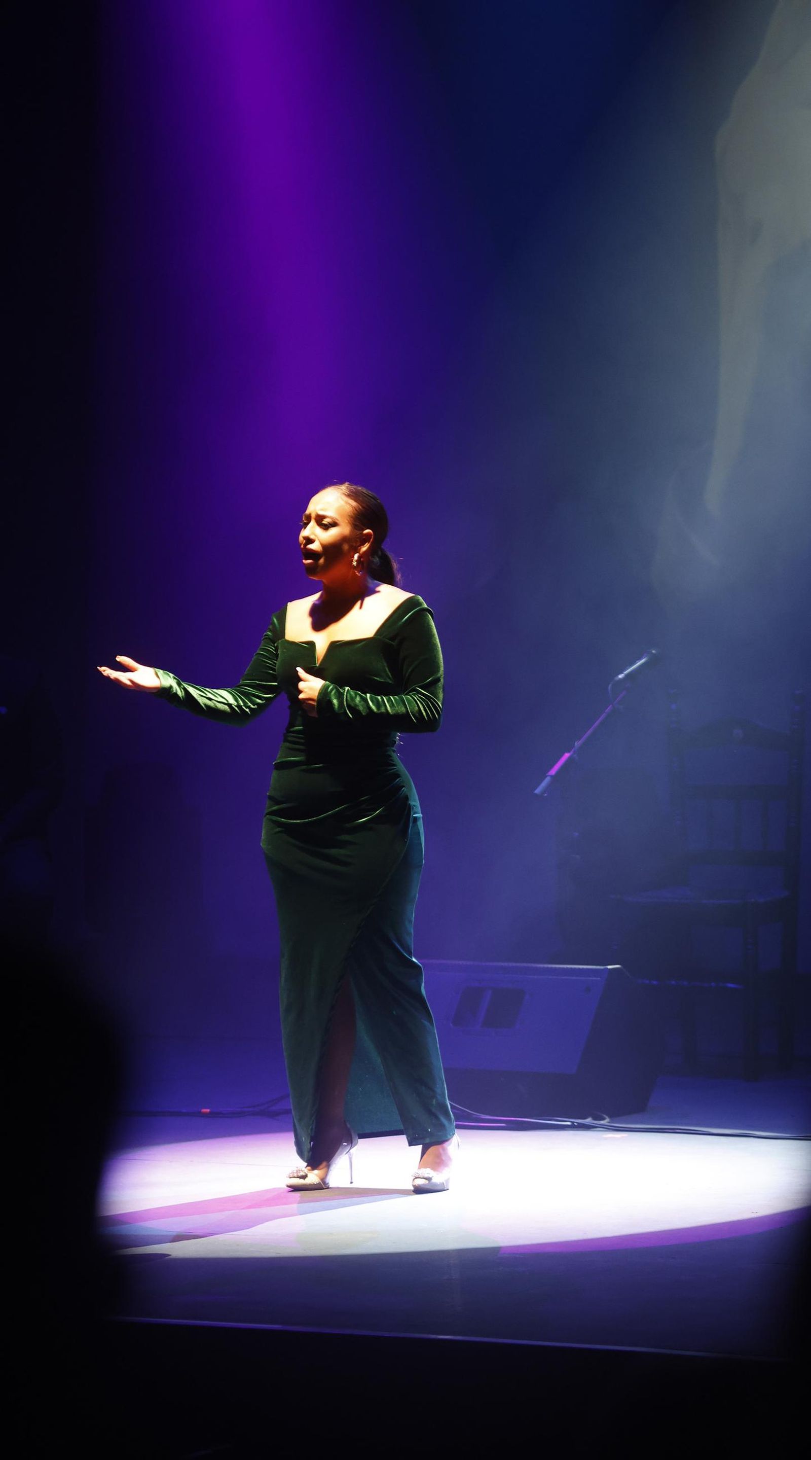 Fotos del concierto de María Terremoto en la Bienal de Canela de San Roque