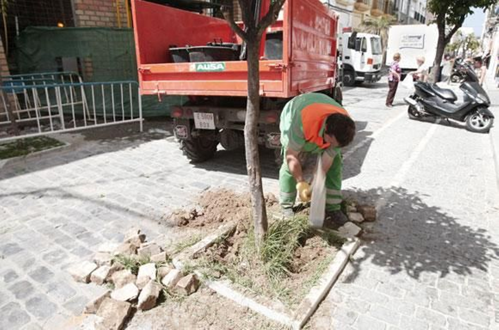 Jardines inicia los trabajos para cambiar los naranjos de la calle La Palma Jardines inicia los trabajos para cambiar los naranjos de la calle La Palma