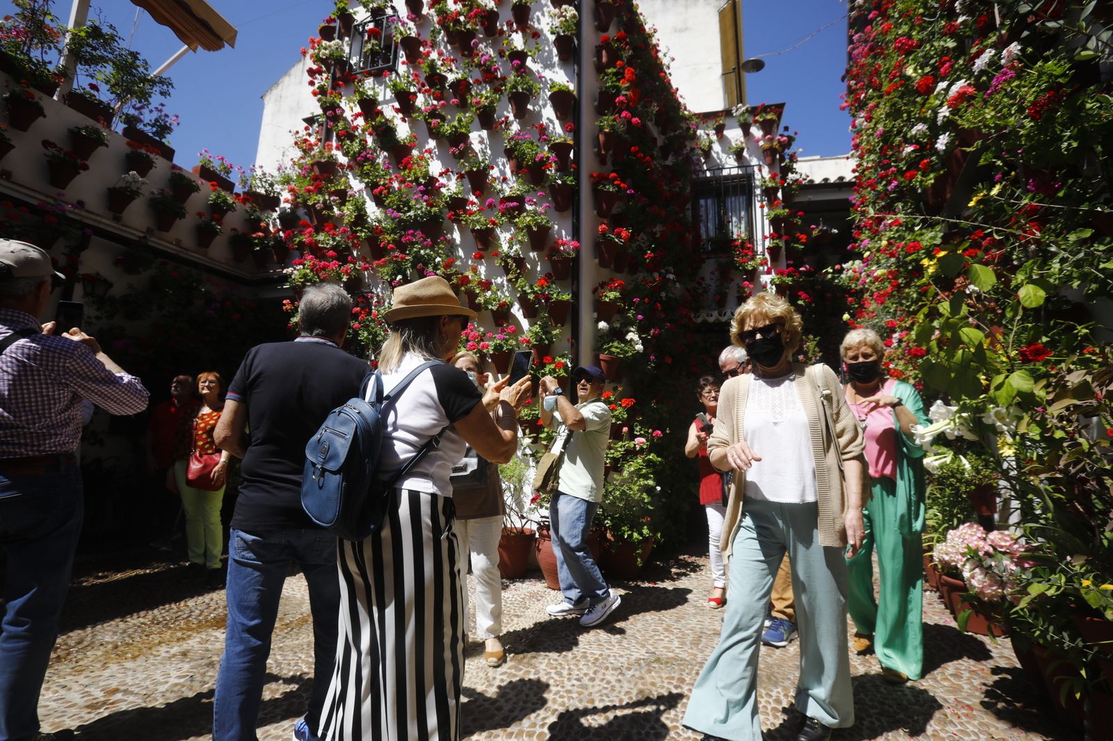 El primer sábado de Patios de Córdoba, en imágenes