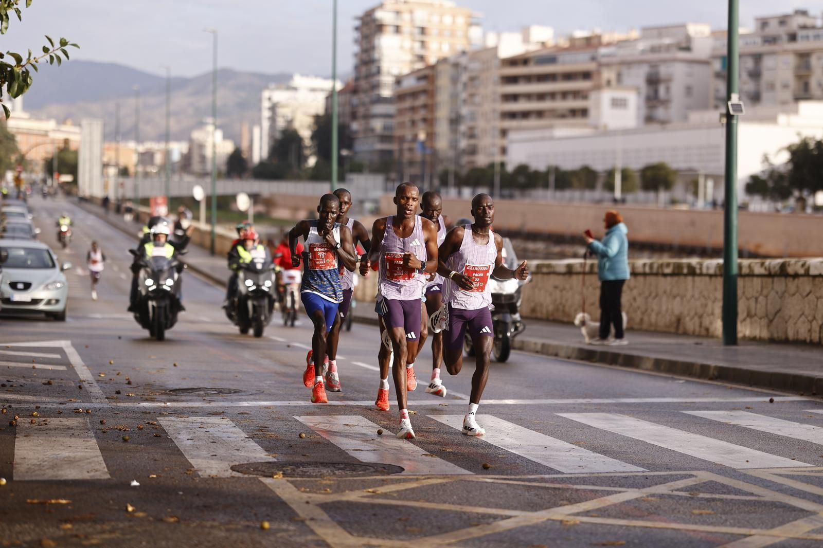 Las fotos de la Maratón de Málaga 2025