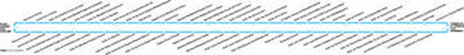 En la página anterior, un