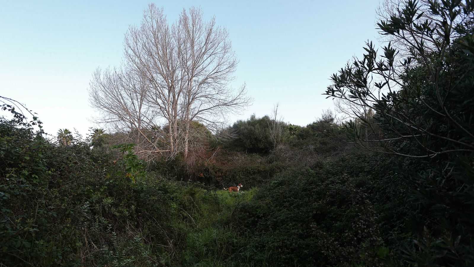 Las mejores fotos del parque fluvial del Río Pícaro