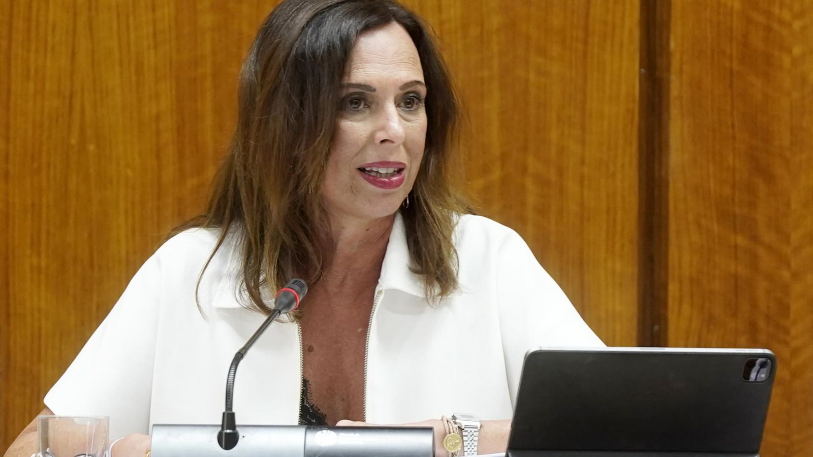La consejera Rocío Díaz, durante la comisión de Fomento en el Parlamento andaluz. La consejera Rocío Díaz, durante la comisión de Fomento en el Parlamento andaluz.