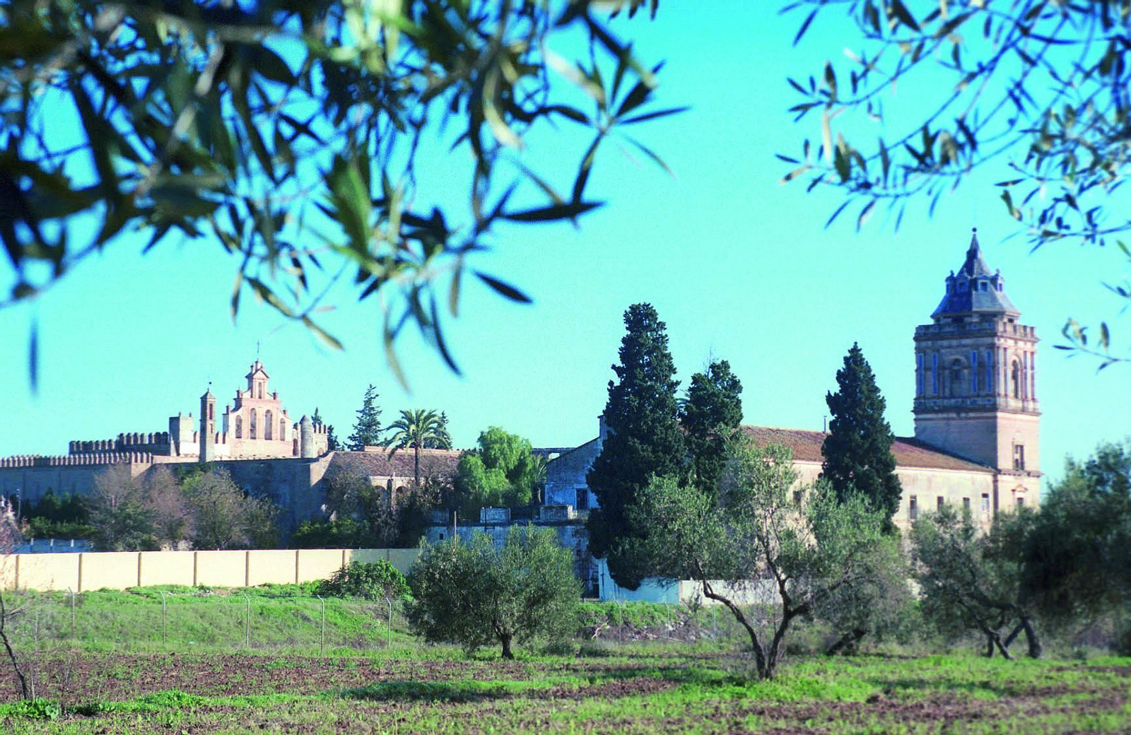 Vista del monasterio de San Isidoro del Campo.