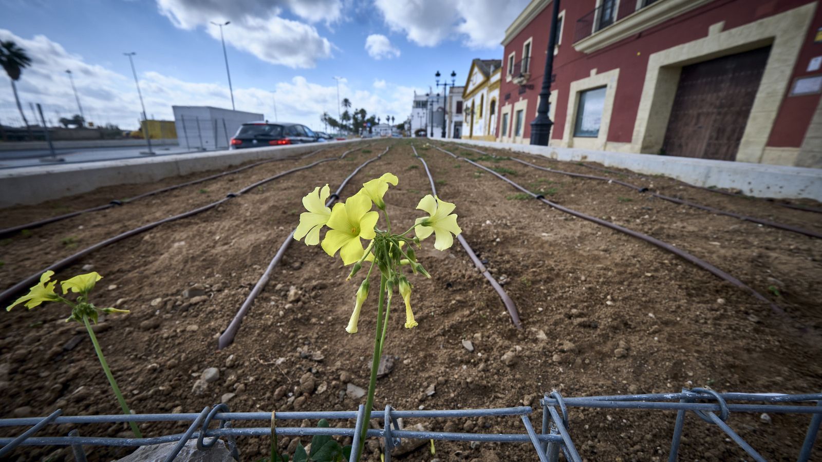 Una imagen de las obras de la cubierta del fallido parking de Pozos Dulces.
