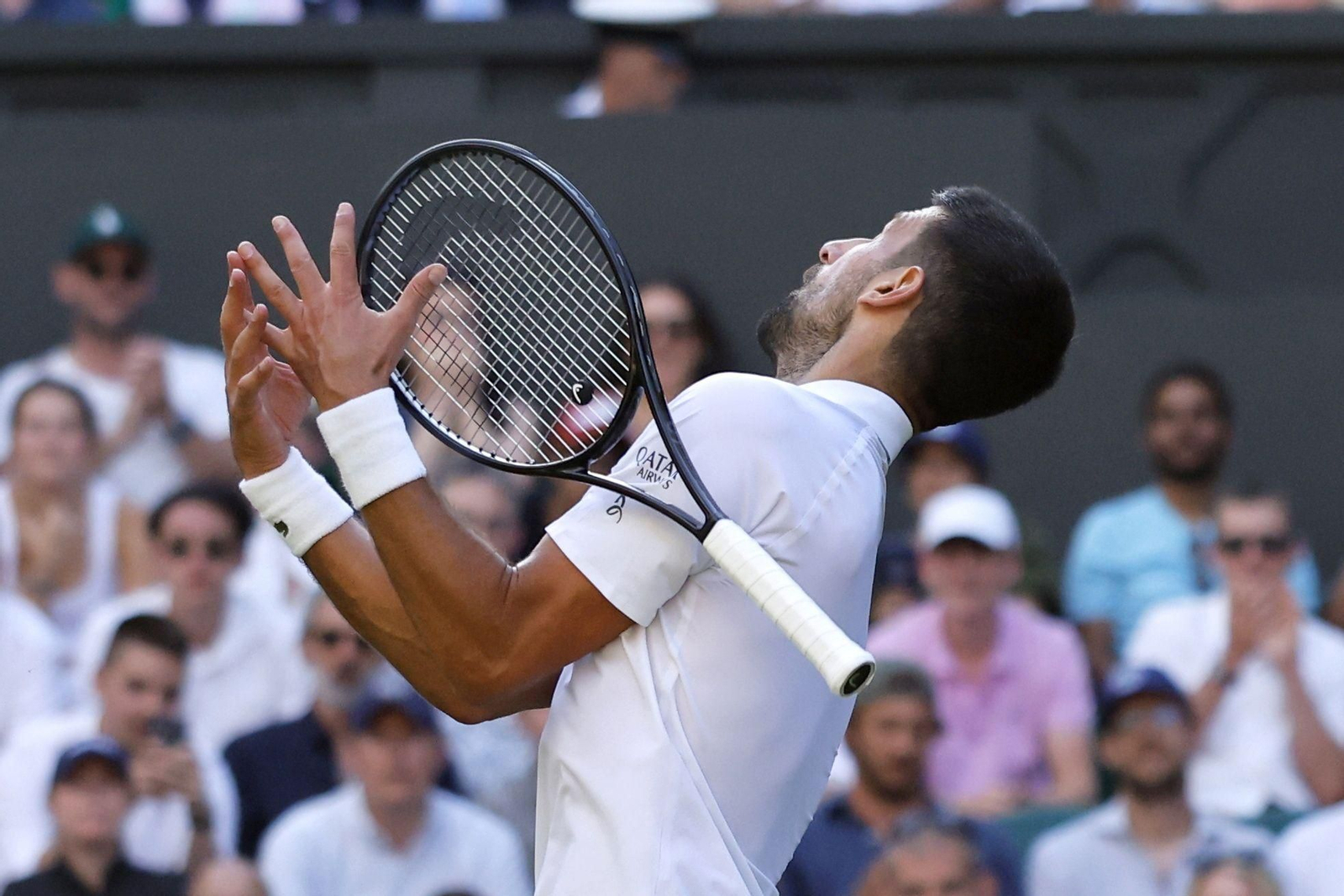 Las fotos de Wimbledon con las clasificaciones de Djokovic y Sinner