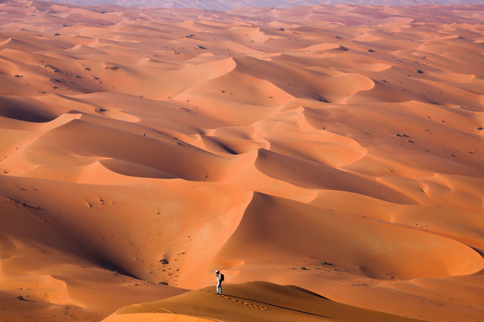 Las mejores fotos del Dakar por las dunas