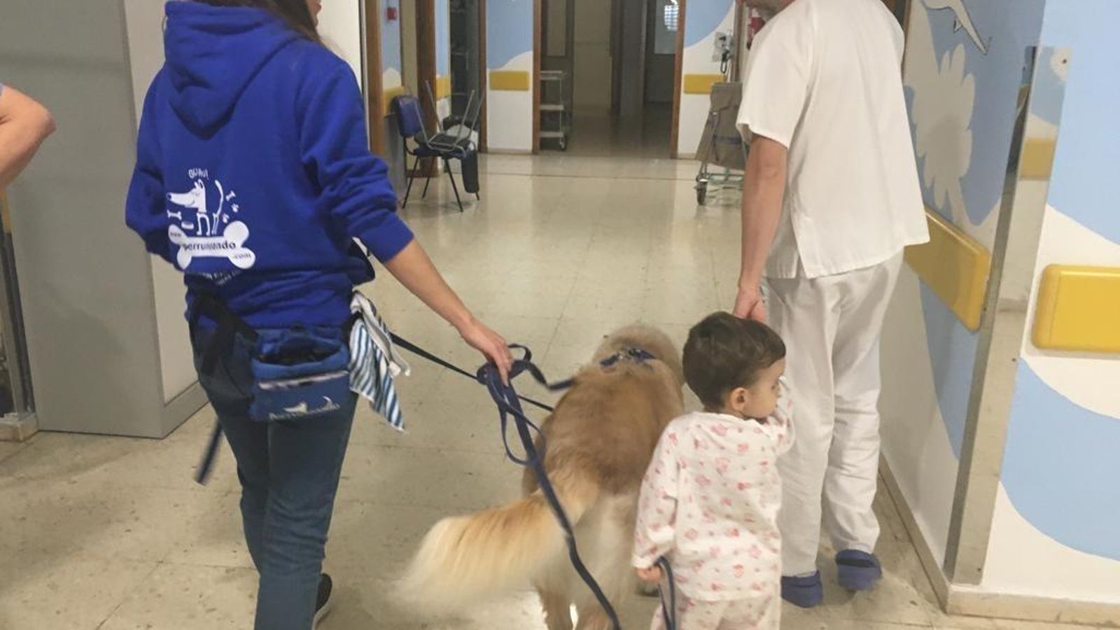 La empresa Perruneando imparte la terapia canina en el hospital. La empresa Perruneando imparte la terapia canina en el hospital.