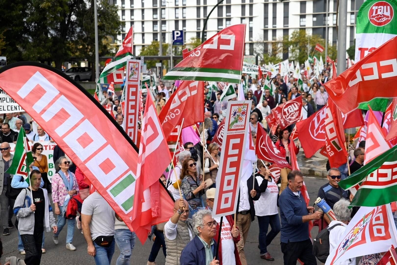 La manifestación en defensa de la sanidad pública en Córdoba, en imágenes