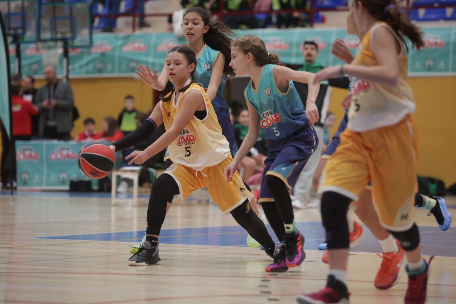La Copa COVAP, protagonista en el Polideportivo Municipal de Martos.