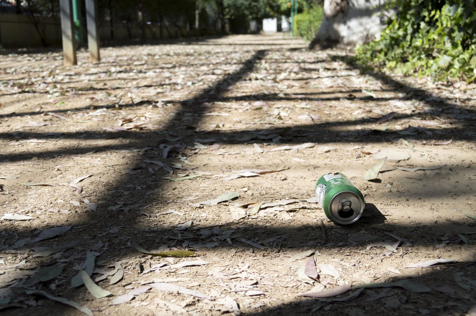 El estado de los Jardines del Valle, en imágenes