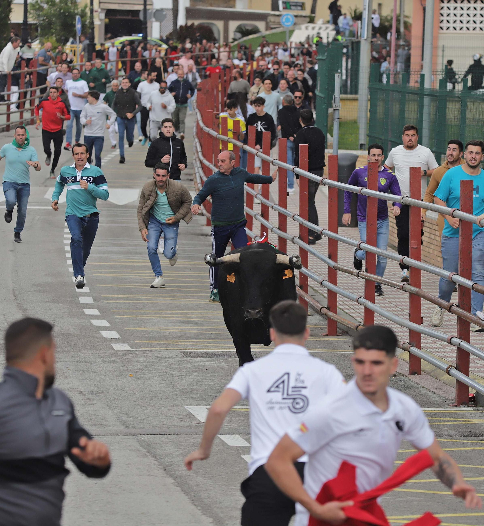 Fotos de los encierros del domingo del Toro Embolao en Los Barrios