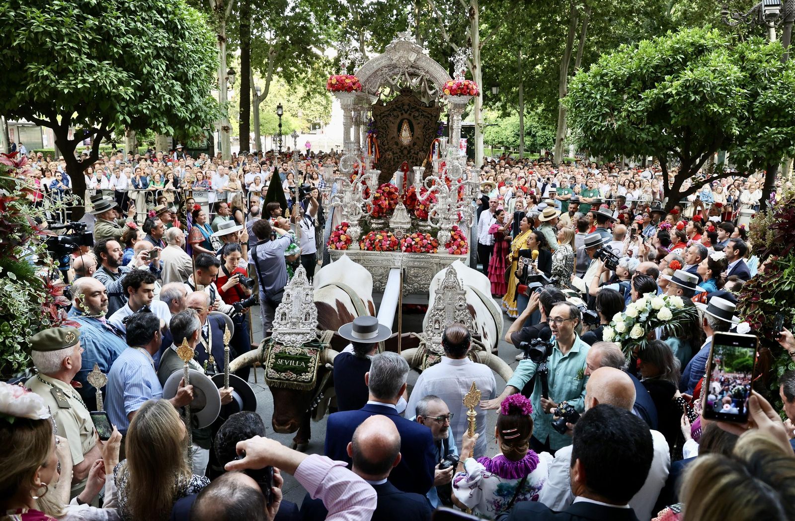Las mejores fotos de la salida de la Hermandad de Sevilla hacia el Rocío
