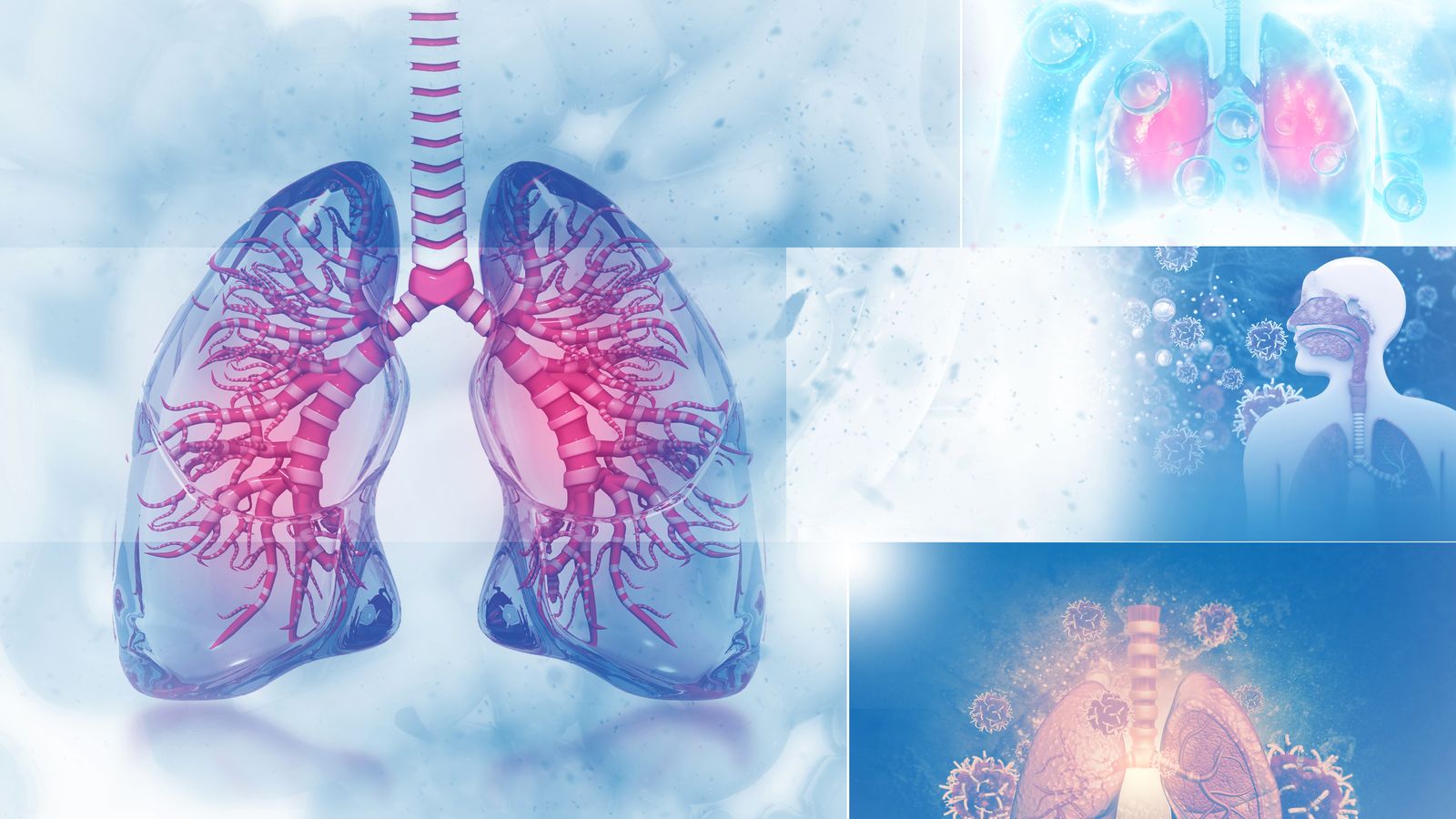 Radiografía de los pulmones en el cuerpo humano