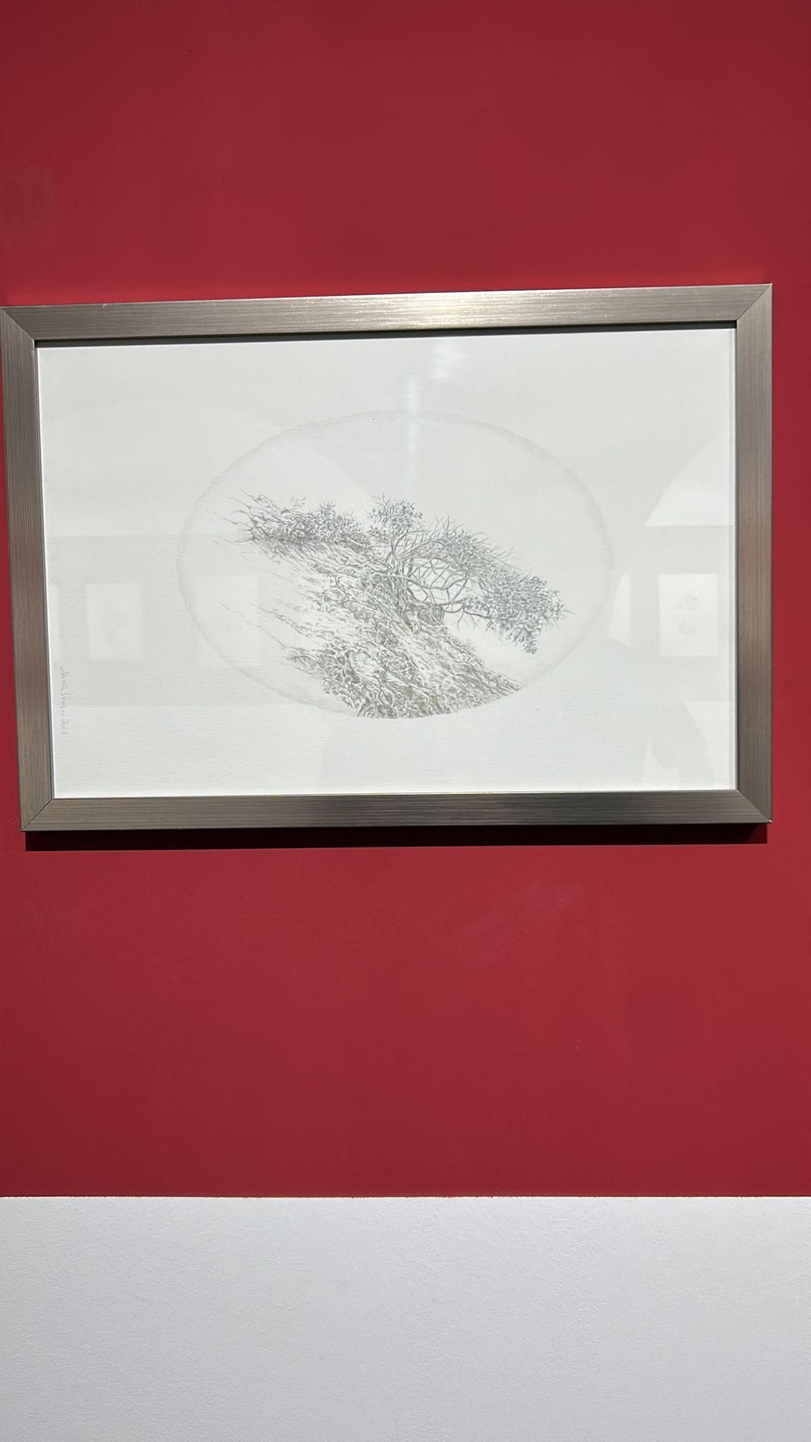 Obra de Javier Velasco. Obra de Javier Velasco.