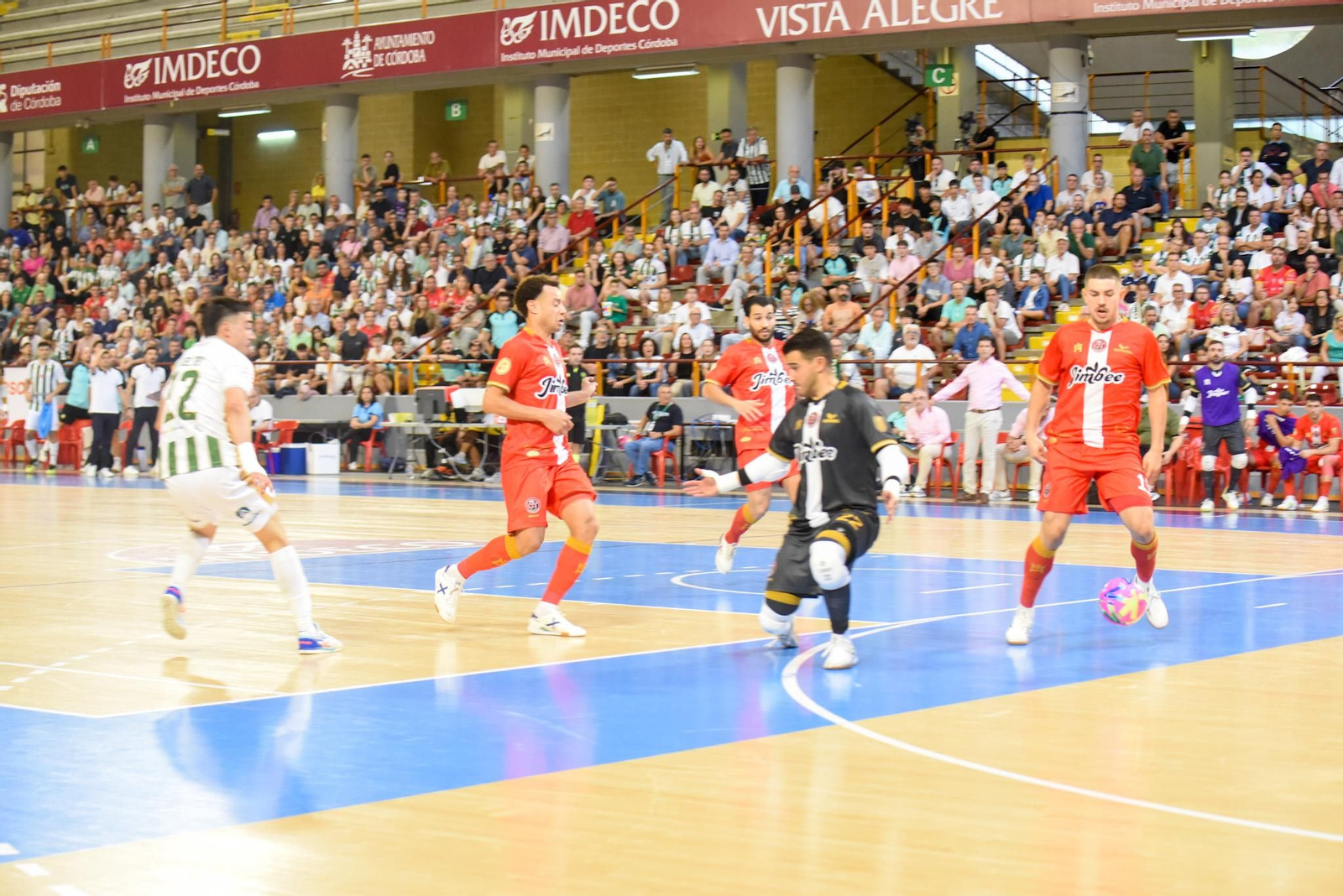 Las mejores fotos del ambiente en Vista Alegre para el Córdoba Futsal - Jimbee Cartagena