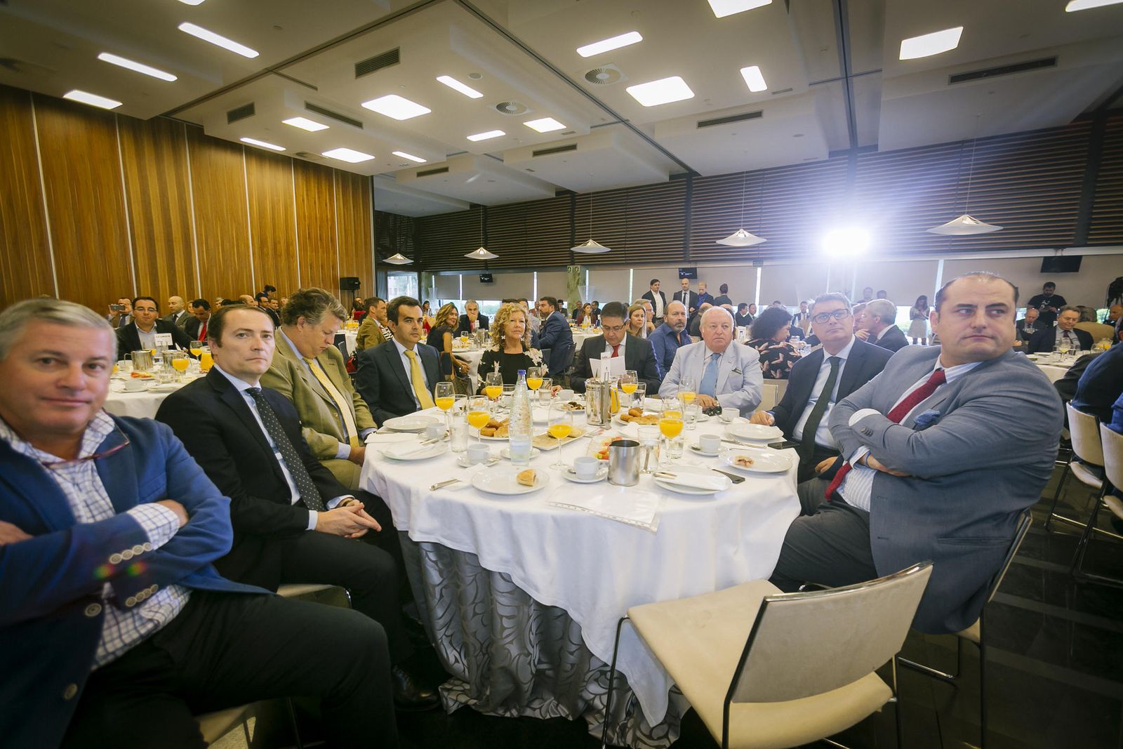 Jesús de Sobrino, Ramón Monedero, Alfonso Domecq, Manuel Carrillo, Ana Alonso Lorenzo, Francisco Vela Norte, Ignacio Romaní, Camilo Lara Fernández.