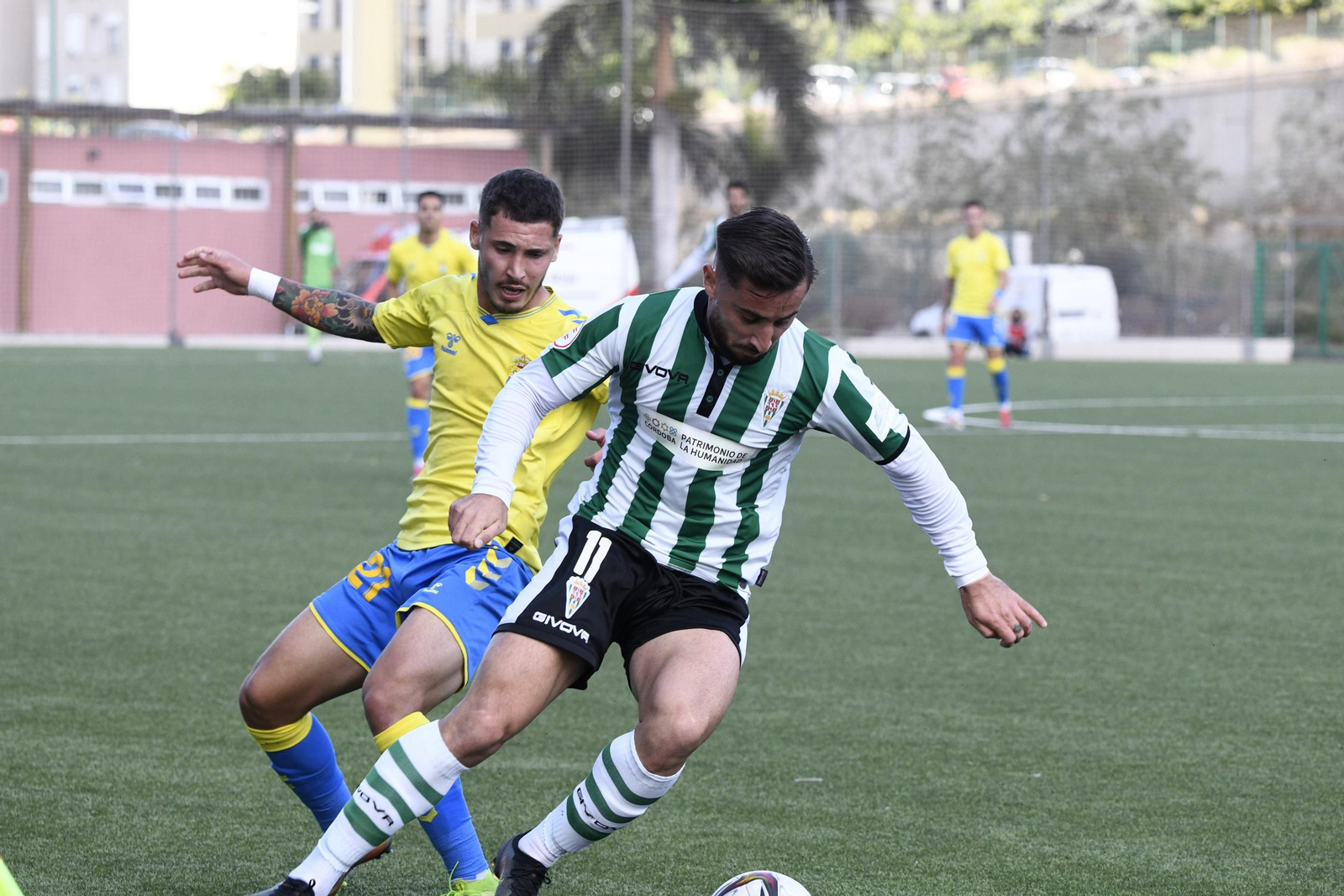 Las imágenes del empate del Córdoba CF ante Las Palmas Atlético