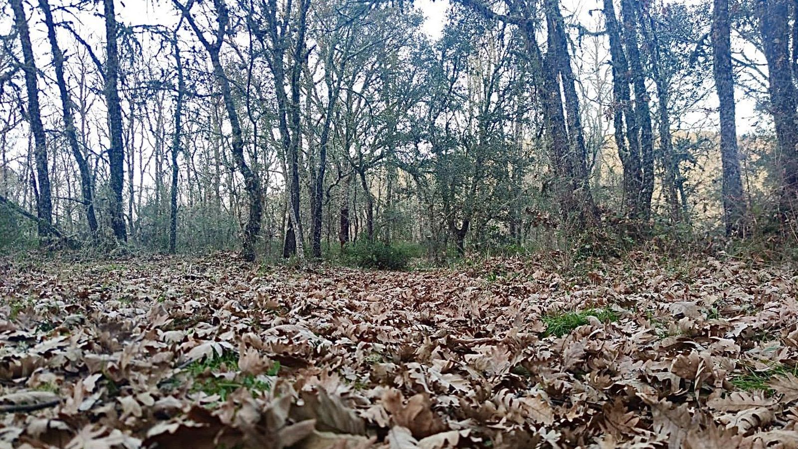 Sendero de Fuenteheridos a Valdelarco