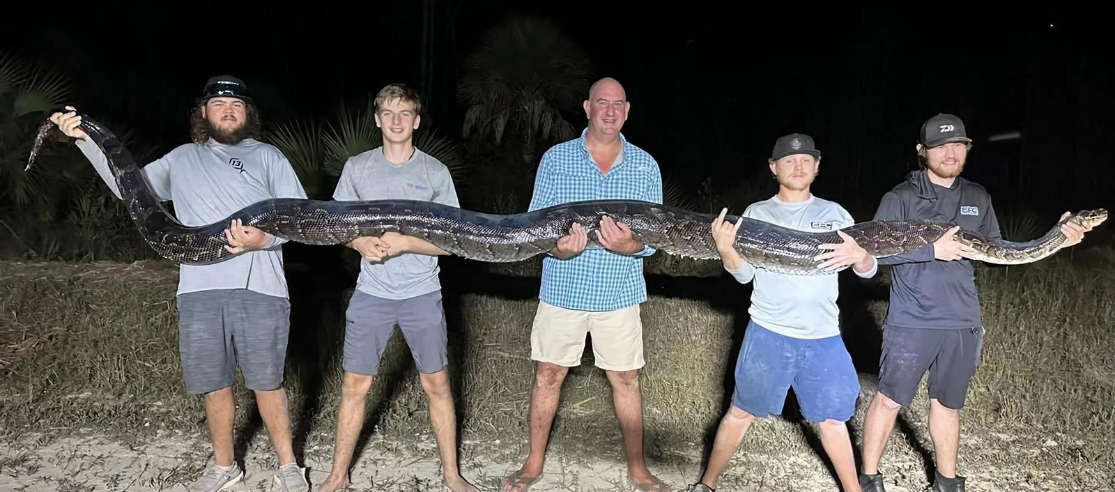 Un grupo de cazadores captura la segunda pitón birmana más grande de Florida, de más de 5 metros