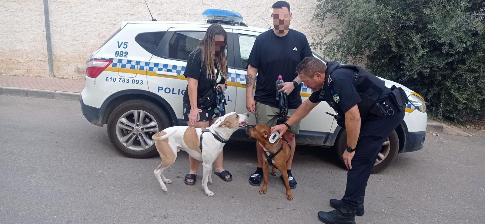 Agente comprobando la identificación de los animales.