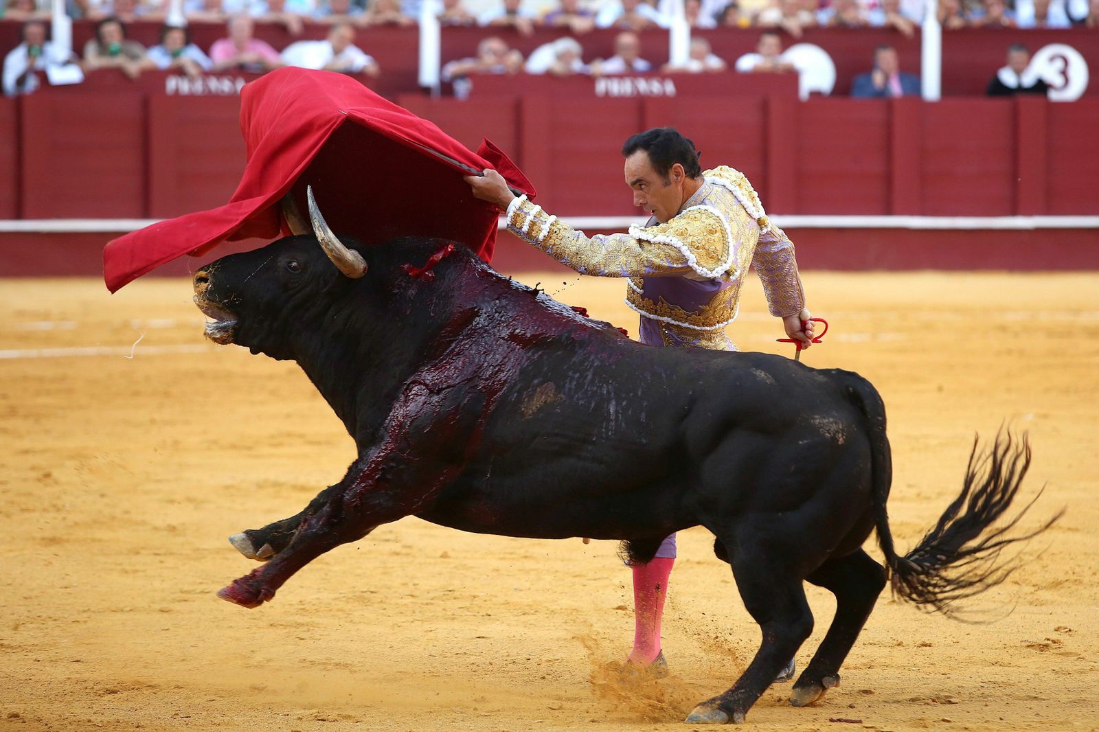 El Cid se despedía de La Malagueta