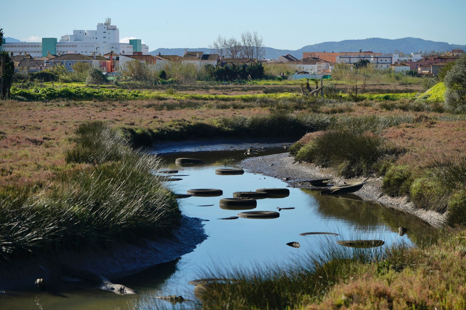 Fotos de la contaminación en el paraje natural de las marismas del Río Palmones