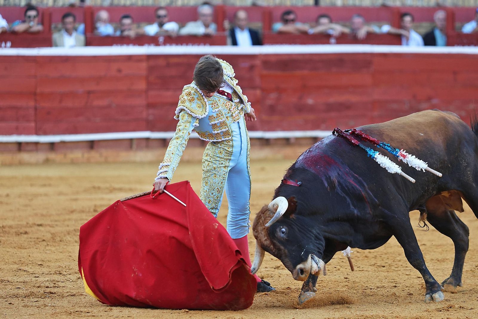Toros La Merced 2024 Novillada con picadores(