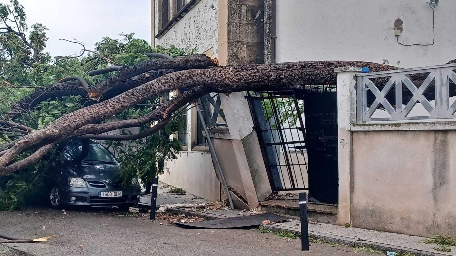Uno de los árboles del colegio Isabel La Católica, caído sobre una de las puertas de acceso.