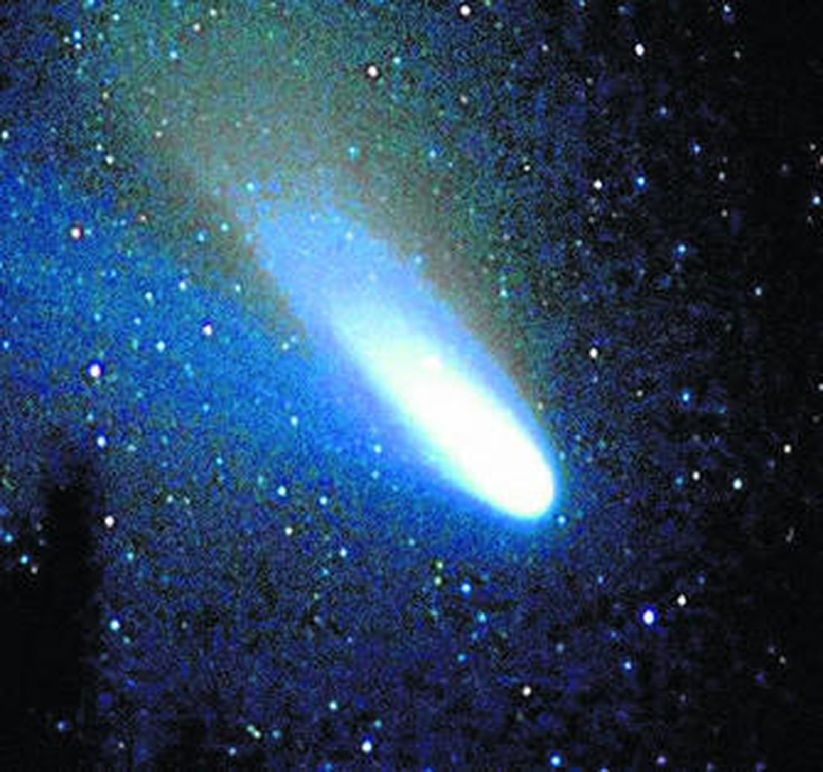 La muestra recoge imágenes captadas por aficionados.