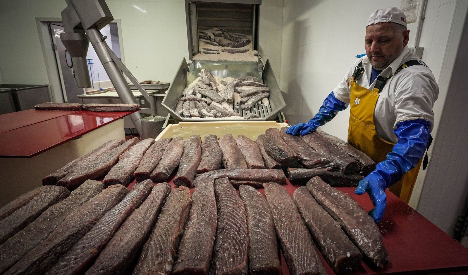 Imágenes de una tradición viva: Herpac por dentro