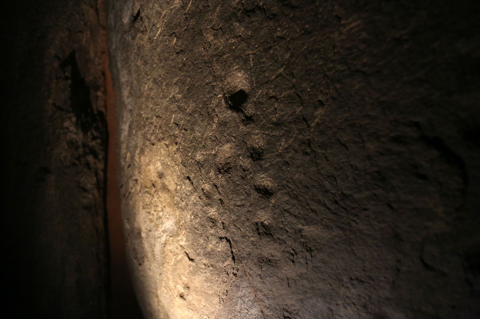 Visita de autoridades al Dolmen de Soto en imágenes