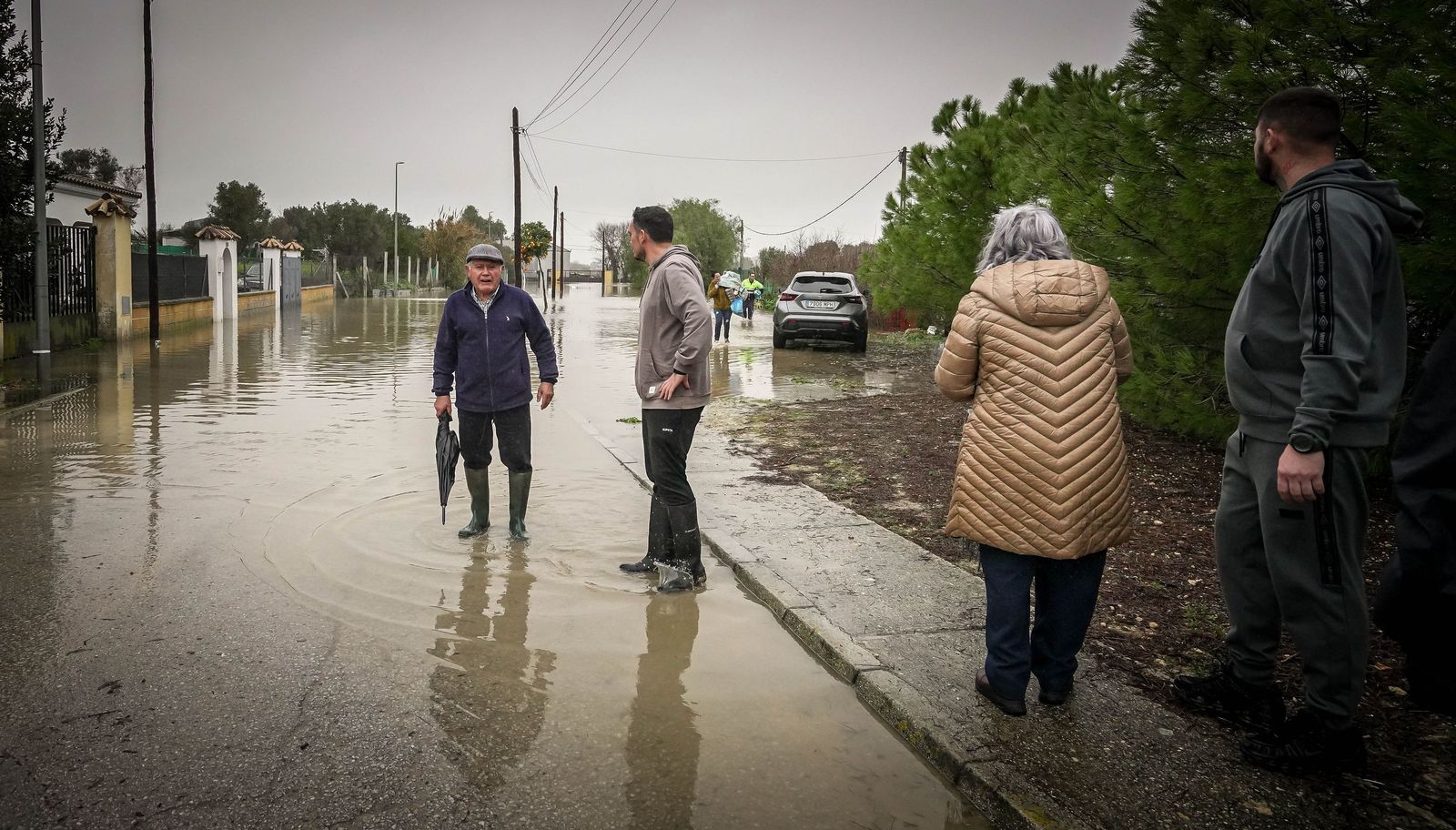 Imágenes de las graves consecuencias de la crecida del rio Guadalete en la zona rural de Jerez